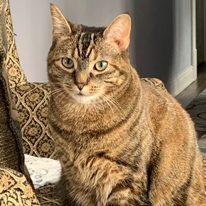 Meet your Posher, Jackie